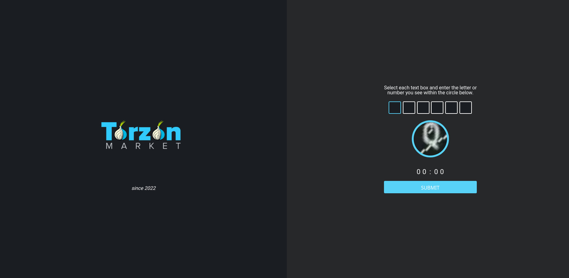 TorZon anti-DDoS wait page